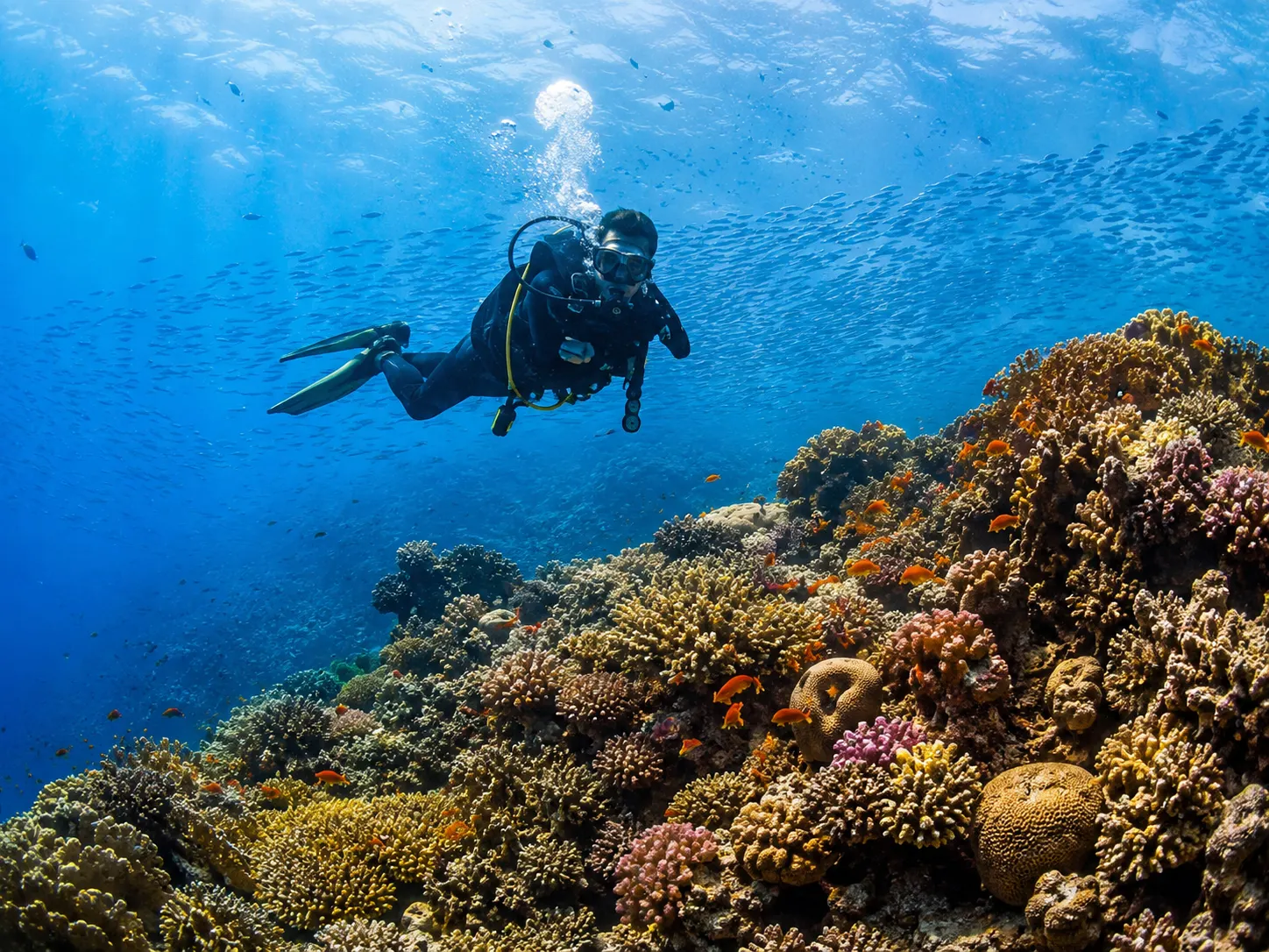 Spécialité PADI Sidemount à Hurghada