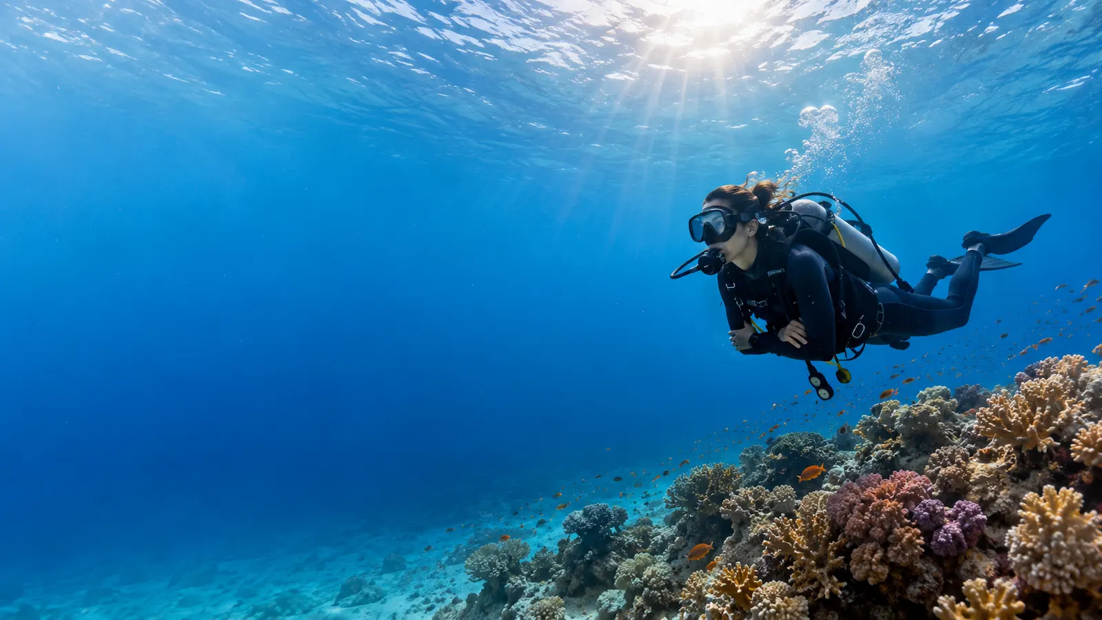 Plongeur longeant un récif corallien à Hurghada, mer Rouge