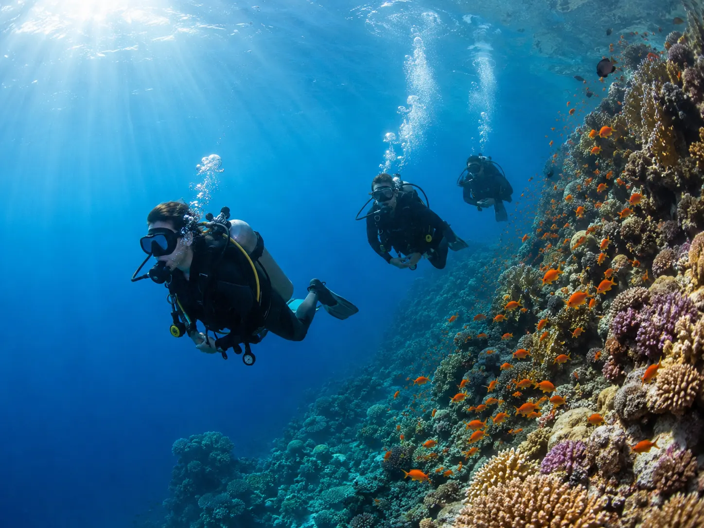 Plongeurs en descente le long d'un récif à Hurghada