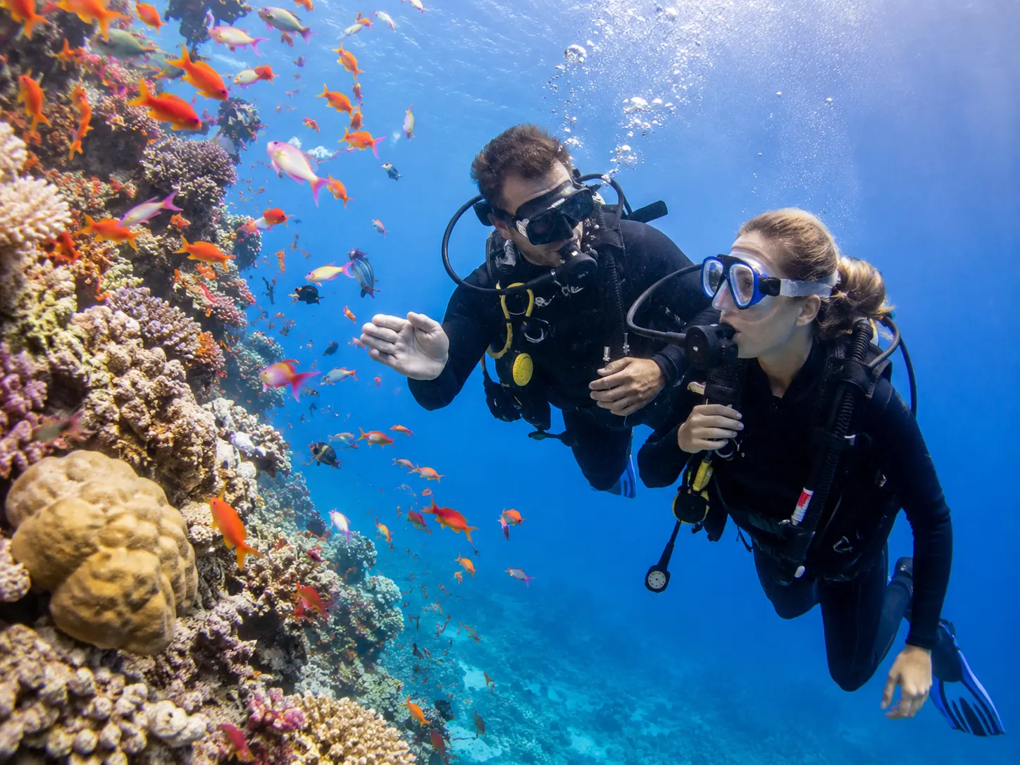 Deux plongeurs devant un récif corallien coloré à Hurghada