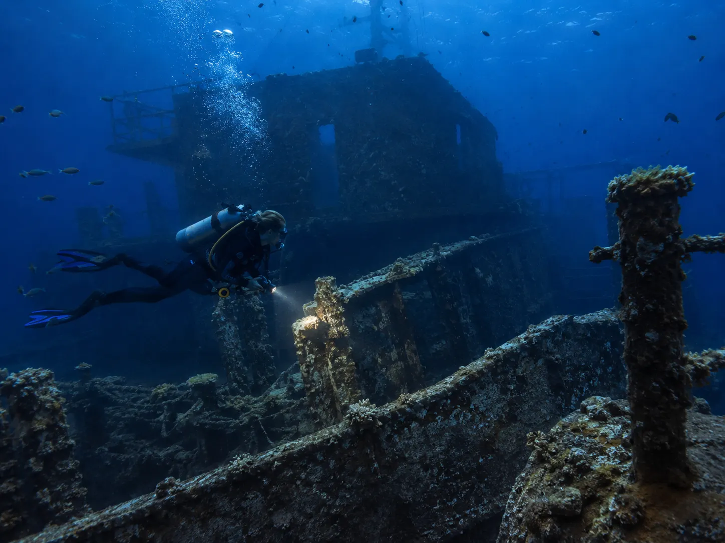 Spécialité PADI Wreck Diver (plongée épave) à Hurghada